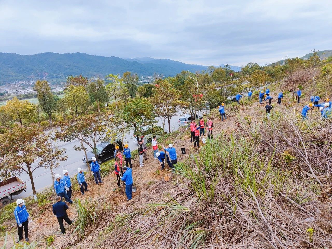 ladbrokes立博-公司官网