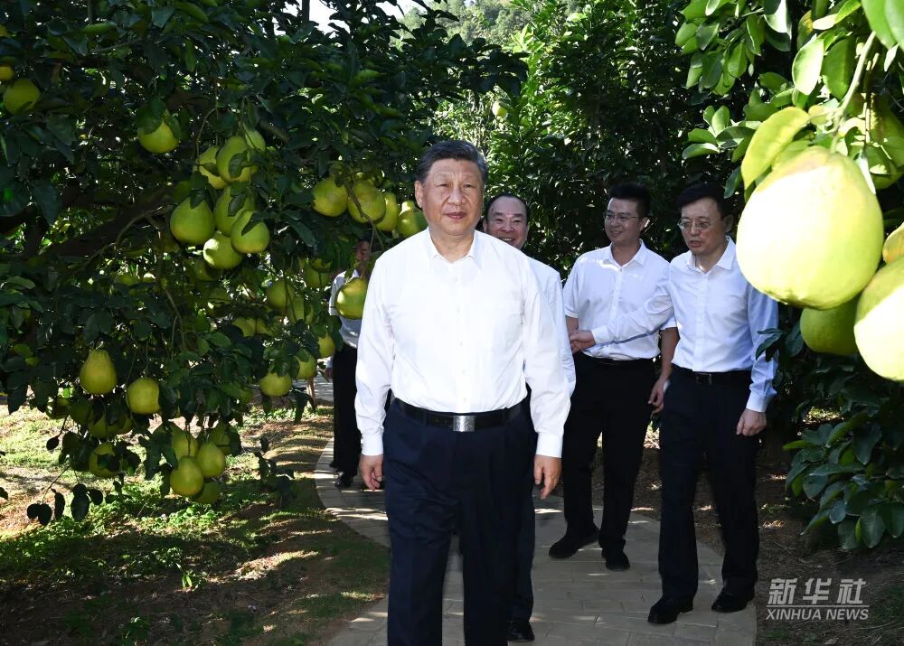 ladbrokes立博-公司官网